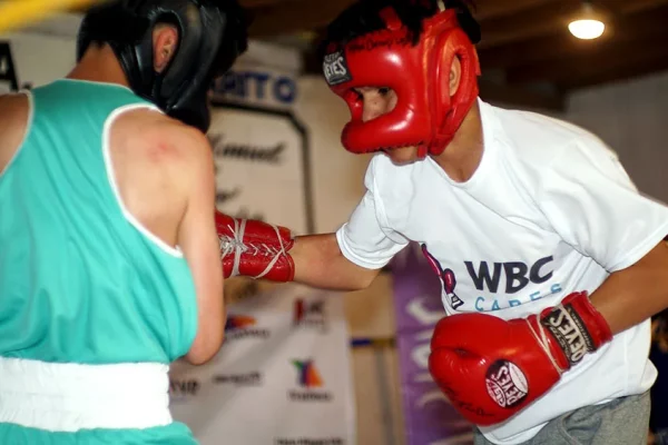 Students from Sick Vic & Meño’s gym giving a sparring demonstration on the ring at the 'Espiritu de Campeón' event